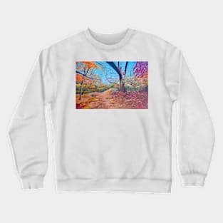 Reservation Trail Crewneck Sweatshirt